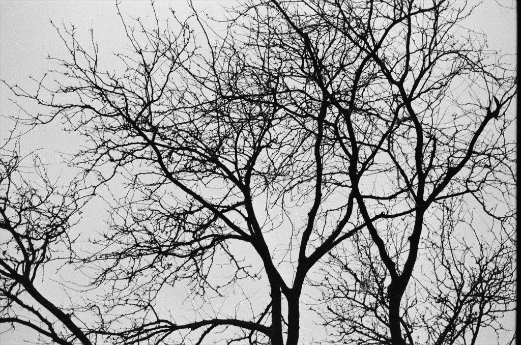 From Rural Norwegian Farm Boy to Nobel Prize Winner- the Story of Jon Fosse 